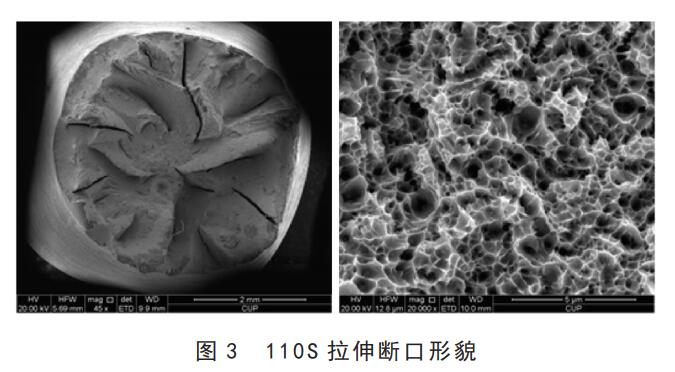 110S斷口形貌 110S斷口形貌